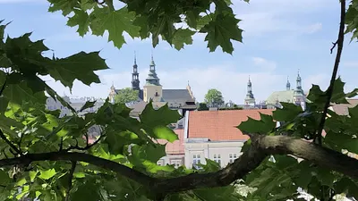 ARBORTECH Karol Mikulski. Specjalistyczna pielęgnacja zieleni.